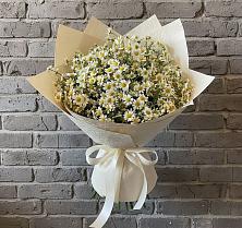 Букет цветов из:  Ромашки #REPLACE_PRED# Еланском